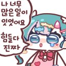 피코 이미지