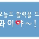 유로진 남성의원 이미지