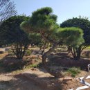 하루농장 이미지