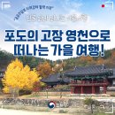 화산면주민센터 | &lt;단풍 따라 떠나는 랜선 여행&gt; 깊어가는 가을~ 포도의 고장 영천으로 와인 여행 떠나요~