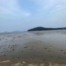 오투오션1 이미지