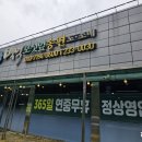 해달촌전통식품 | 광주 동구 떡집 월남동 전통 떡 백억떡집! 아이, 어르신 간식으로 추천