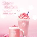 체리블라썸 이미지