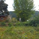 지동리경로당 이미지