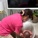녹십초인천동구지사 | 정년 없는 여성 직업 - 인천 부평구 중구 동구 산후도우미 일자리를 추천합니다.
