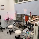 웰니스펫뷰티 이미지