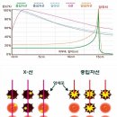 췌장암 말기 완치사례 중입자치료 기적의 암치료법 이미지