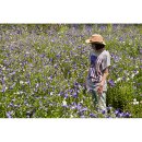 대청호반 이미지