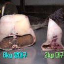 왕대구탕 이미지