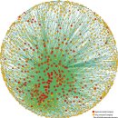 The Capitalist Network that Runs the World 이미지