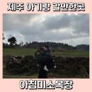 우정목장 | 제주 아기랑 갈만한곳 아침미소목장 체험