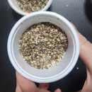 보양촌 | 집에서 간편하게 먹는 보양식: 보양촌 염소탕 밀키트 후기