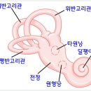 활인당한의원 네이버블로그