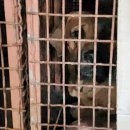 이병천농장 이미지