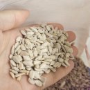 아름뜰 | 아침 공복에 먹기 좋은 건강 식단ㅣ다이어트식(두유 + 해바라기씨 조합)