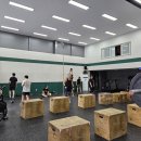 크로스핏 팬텀 이미지