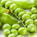 퀸스 휘트니스 이미지