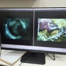 초곡나무동물병원 이미지