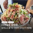 새봄약국 | 마산 합성동 맛집 오리고기 자연농원