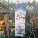 행운동주민센터 이미지