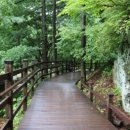 봉학골산림욕장 이미지