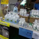 올캣코리아 | 운수대통3탄..올캣코리아 캣쇼후기 당첨!