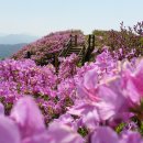 아영면 구상마을 이미지