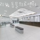 아프리카 동물의료센터 네이버블로그