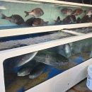 거제해금강농업협동조합 이미지