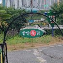 함양옻닭굴화점 이미지