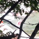 계림농원 이미지