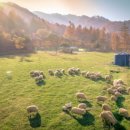 운용목장 이미지