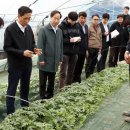 훈 농장 이미지