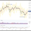 (주) 비엘홀딩스 이미지