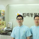 킴리동물병원 이미지