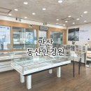 상록구청 뒷편, 동산교회 맞은편 | 안산 사동 동산교회 근처 안경집 ‘동산안경원’