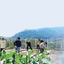 밀알천사 이미지