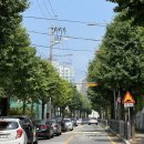 봉선시장 공영주차장 화장실 네이버블로그