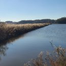 서검저수지 이미지