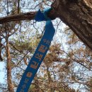 수원팔색길 수원둘레길 이미지