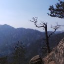 풍생고정문 앞 이미지