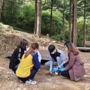 자연석유 이미지