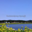 경포저류지 이미지