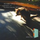 달출판사