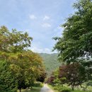 무릉도원면-42 이미지