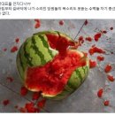 민들레의원 이미지