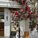 스팟스튜디오 이미지
