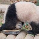 정원광장 이미지