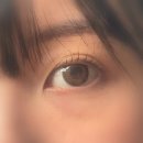 브로우샤샤 | 이수역 속눈썹펌 잘하는 곳 [브로우샤샤] 솔직후기입니다. (유지력, 가격, 펌 추천)