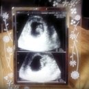 백호농장 이미지